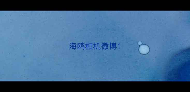 图片 海鸥相机微博1