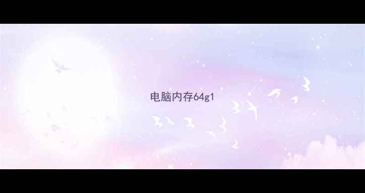 电脑内存64g