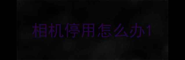 图片 相机停用怎么办1