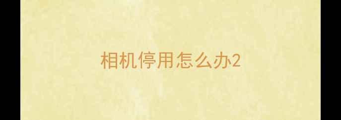 图片 相机停用怎么办2