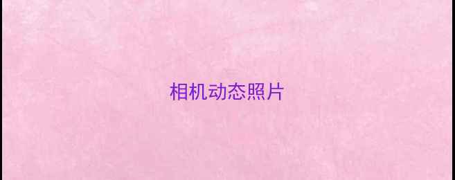 图片 相机动态照片