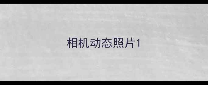 图片 相机动态照片1