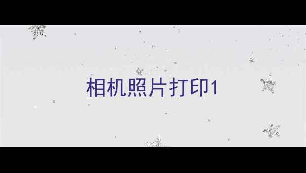 图片 相机照片打印1