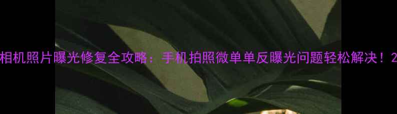 图片 相机照片曝光修复全攻略：手机拍照微单单反曝光问题轻松解决！2