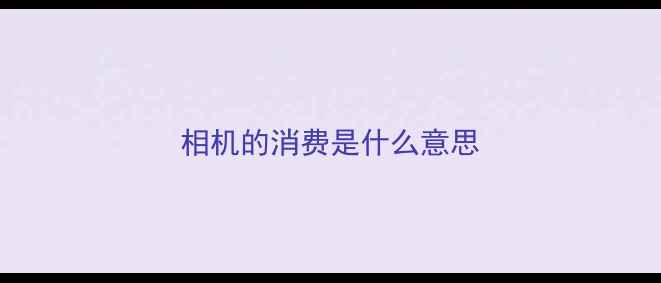 相机的消费是什么意思