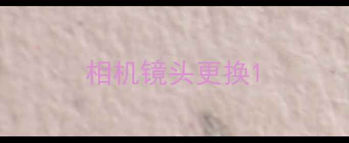 图片 相机镜头更换1