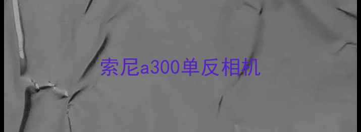 图片 索尼a300单反相机