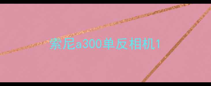 图片 索尼a300单反相机1