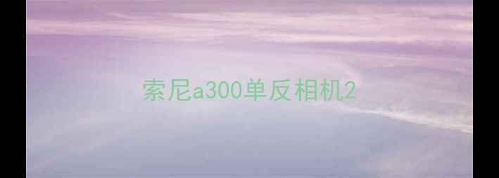 图片 索尼a300单反相机2