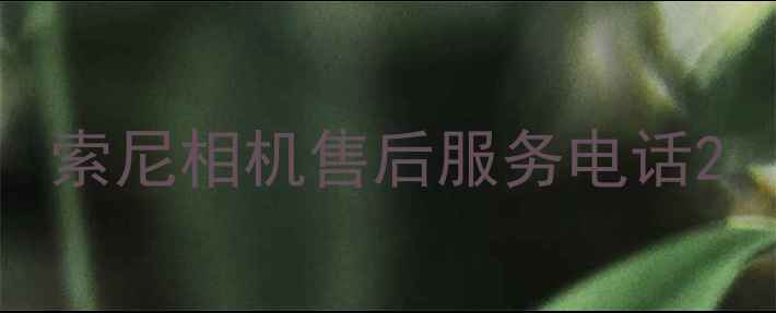 图片 索尼相机售后服务电话2