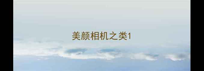美颜相机之类