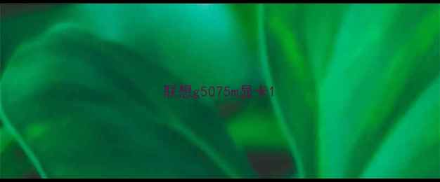 图片 联想g5075m显卡1