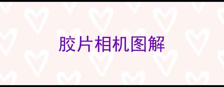 图片 胶片相机图解