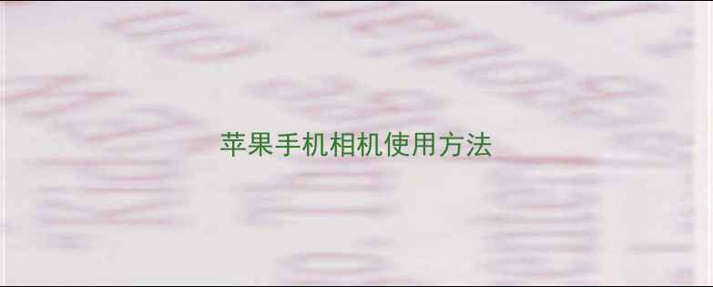 图片 苹果手机相机使用方法
