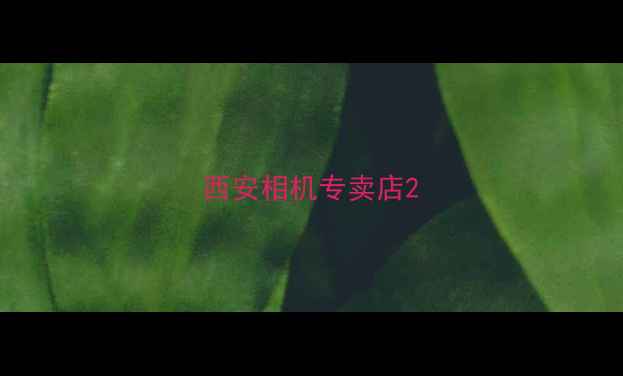 图片 西安相机专卖店2