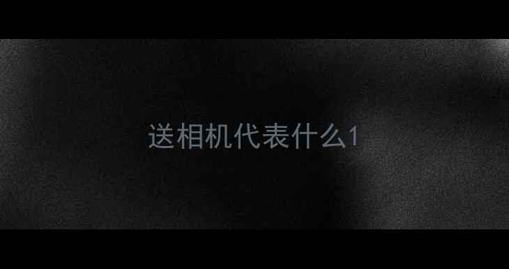 图片 送相机代表什么1