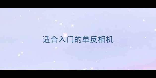 适合入门的单反相机