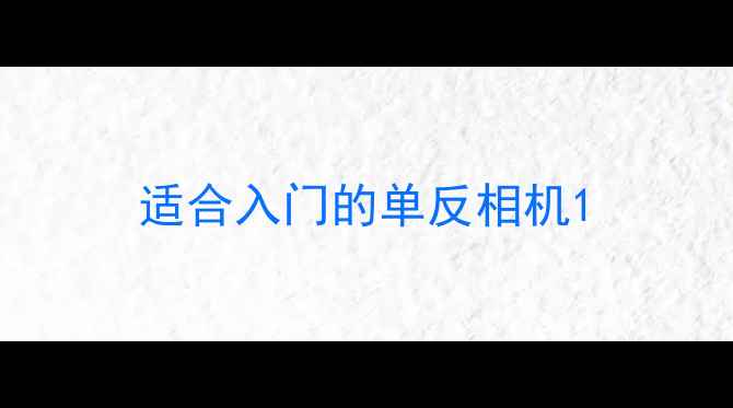 图片 适合入门的单反相机1