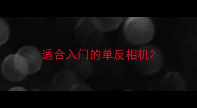 图片 适合入门的单反相机2
