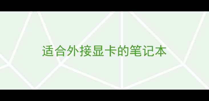 图片 适合外接显卡的笔记本
