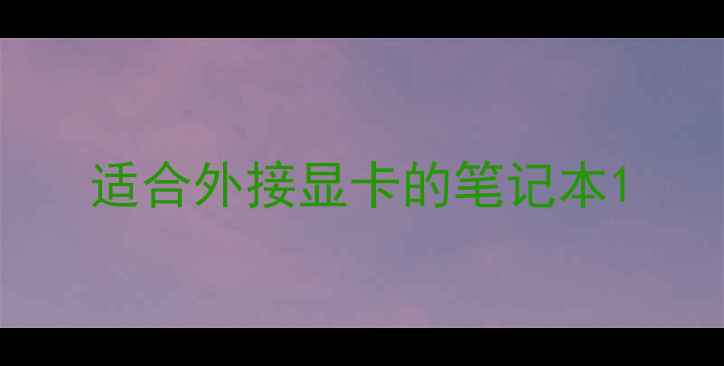 图片 适合外接显卡的笔记本1