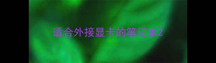 图片 适合外接显卡的笔记本2