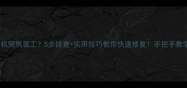 相机突然罢工5步排查实用技巧教你快速修复手把手教学